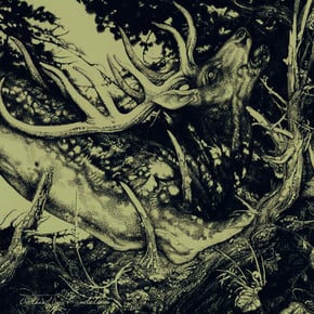 The Dark by The Third Eye Foundation Cover Art