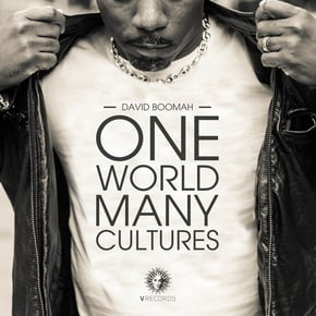 One World Many Cultures by David Boomah Cover Art