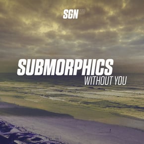 Without You by Submorphics Cover Art