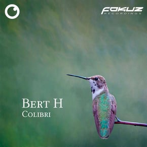 Colibri by Bert H Cover Art