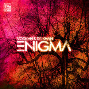 Enigma by Vodkah Cover Art