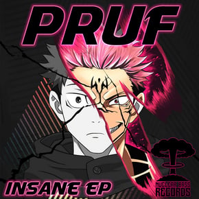 Insane by Pruf Cover Art