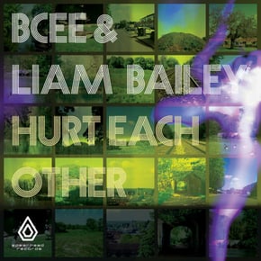 Hurt Each Other by BCee Cover Art