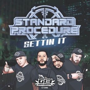 Settin It by Standard Procedure DNB Cover Art