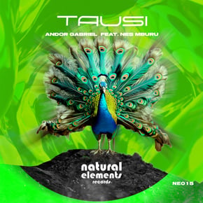 Tausi by Tengu & Andor Gabriel Cover Art