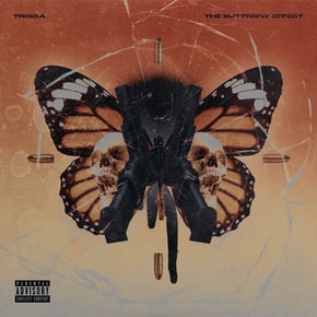 THE BUTTERFLY EFFECT by Trigga Cover Art