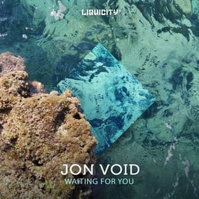 Waiting For You by Jon Void Cover Art