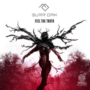 Feel The Truth by Audio & Burr Oak Cover Art