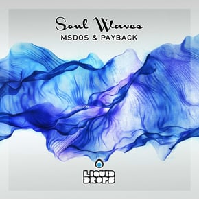 Soul Waves Lp by MSDOS & Payback Cover Art