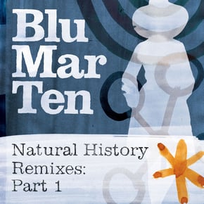 Natural History Remixes, Pt. 1 by Blu Mar Ten Cover Art