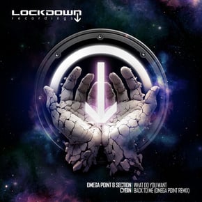 What Do You Want by Omega Point, Cybin & Section Cover Art