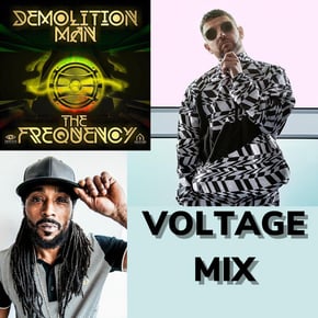The Frequency (Voltage Mix) by Demolition Man Cover Art