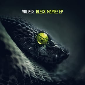 Black Mamba by Dr Meaker & Voltage Cover Art