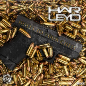 Holes To Your Chest by Harley D Cover Art