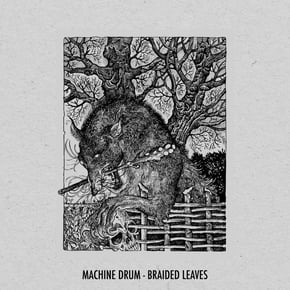 Braided Leaves by Machinedrum Cover Art