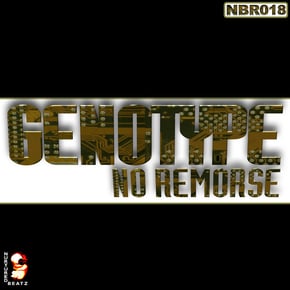 No Remorse by Genotype Cover Art