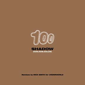 The Shadow (Process Mix) / The Shadow (Bing Here Mix) by Goldie Cover Art