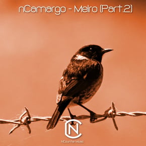 Melro, Pt. 2 by nCamargo Cover Art