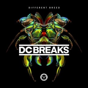 Different Breed by DC Breaks Cover Art