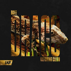 Draco by In:Most, BCee & Catching Cairo Cover Art