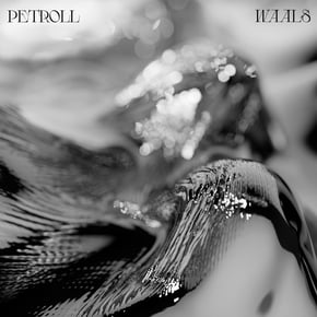 Waals by Petroll Cover Art