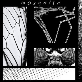 Mosquito by latesleeper Cover Art