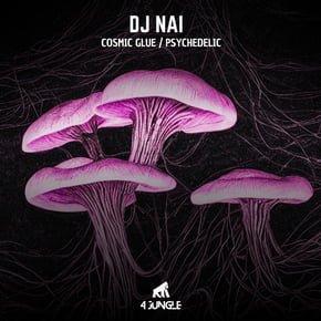 Cosmic Glue / Psychedelic by DJ Nai Cover Art