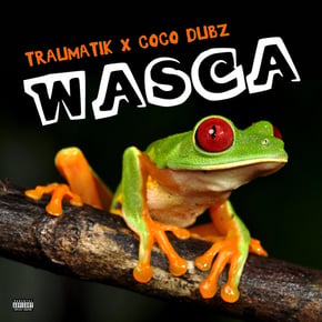 Wasca by Mr Traumatik & Coco Dubz Cover Art