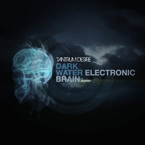 Dark Water / Electronic Brain by Tantrum Desire Cover Art