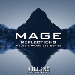 Reflections by Mage Cover Art