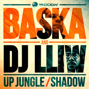 Up Jungle/Shadow by Baska Cover Art