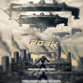 Spaceships by Posk & Stakka Cover Art
