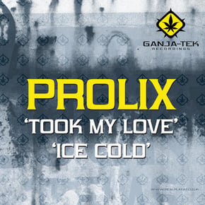Took My Love / Ice Cold by The Prototypes & Prolix Cover Art