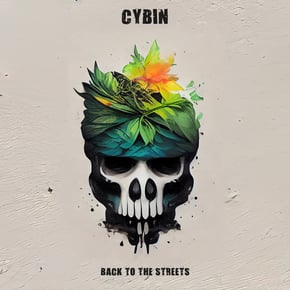 back to the streets ep by Cybin Cover Art