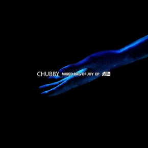 Mixed Bag Of Joy by Chubby Cover Art