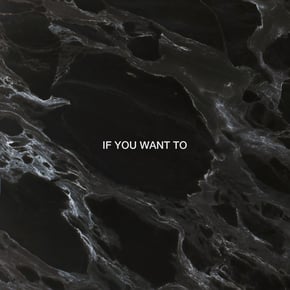 If You Want To (Dimension Remix) by Dimension Cover Art