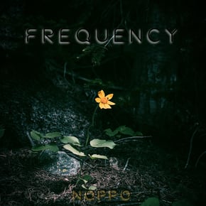 Frequency by Noppo Cover Art
