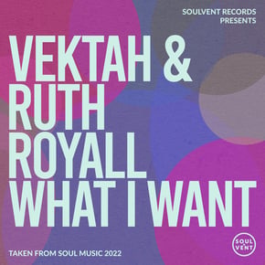 What I Want by Vektah Cover Art
