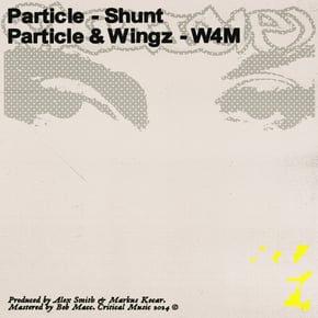 Shunt / W4M by Particle & Wingz Cover Art