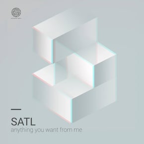 Anything You Want From Me EP by Satl Cover Art