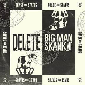 Delete / Big Man Skank (VIP) by Chase & Status Cover Art