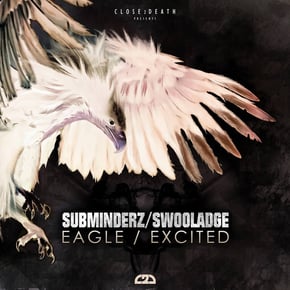 The Eagle / Excited by Swooladge Cover Art