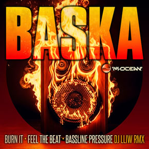 Burn It by Baska Cover Art