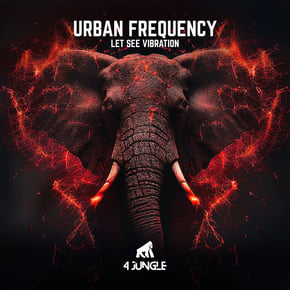 Let See Vibration by Urban Frequency Cover Art