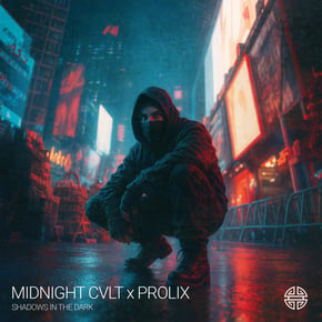 Shadows In The Dark by Prolix Cover Art