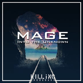 Into the Unknown by Mage Cover Art