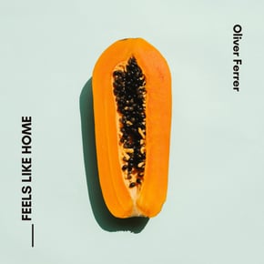 Feels Like Home by Oliver Ferrer Cover Art