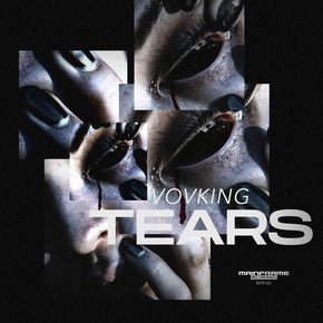 Tears by VovKING Cover Art