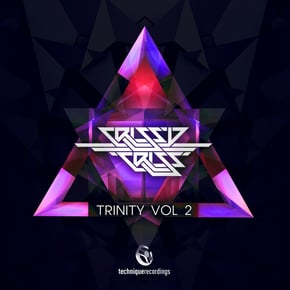 Trinity, Vol. 2 by Crissy Criss Cover Art