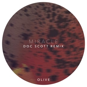 Miracle (Doc Scott Remix) by Doc Scott Cover Art